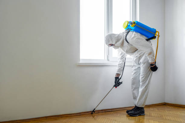 Trusted Kana, UT Pest Control Experts