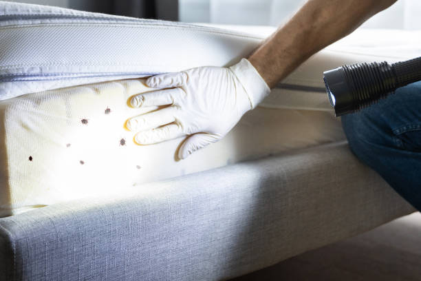 Best Wildlife Control Services  in Kana, UT