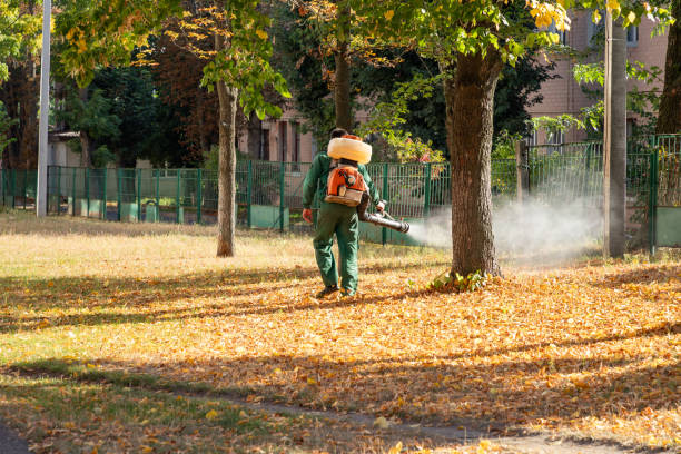 Wasp Removal Services in Kana, UT